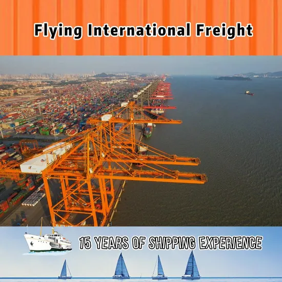 International Forwarding Air Freight Land Transportation Shipping Service in China