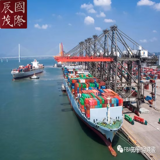 Agente de frete profissional/provedor de serviços de logística experiente/envio de contêineres da china para a turquia por via marítima/aérea