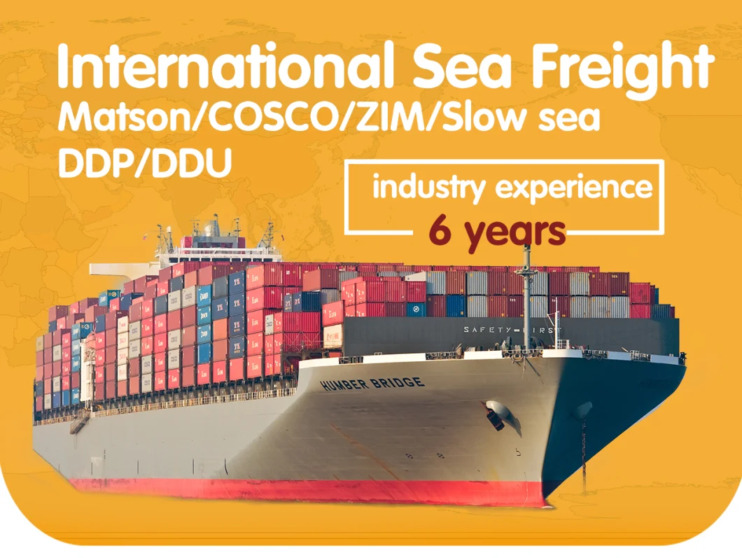 Professional Freight Supplier DDP Sea Shipping Service From Shenzhen to Spain LCL Amazon Fba Amazon Warehouse Excellent Service