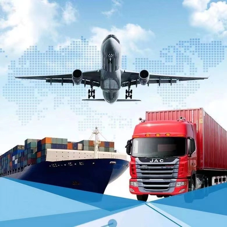 Import and export customs clearance/warehouse service/Truck service in Ningbo