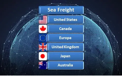 Ocean Sea Freight Agent International Shipping Forwarder Service From China to USA Canada Germany France Netherlands