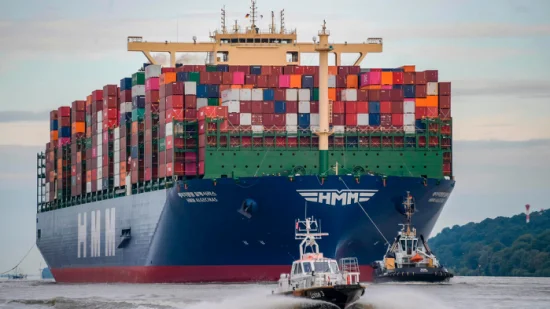 Transporte Marítimo Rápido Shenzhen para a Índia Nova Deli Armazém Serviços Incluídos Dever